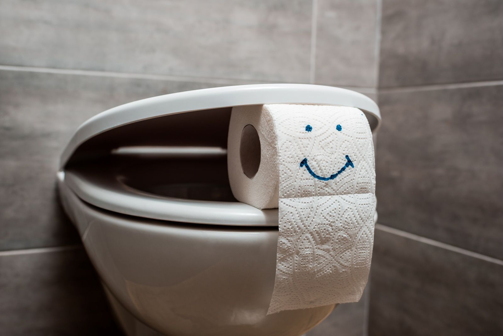 Septic Safe Toilet Paper On Modern Bathroom Toilet