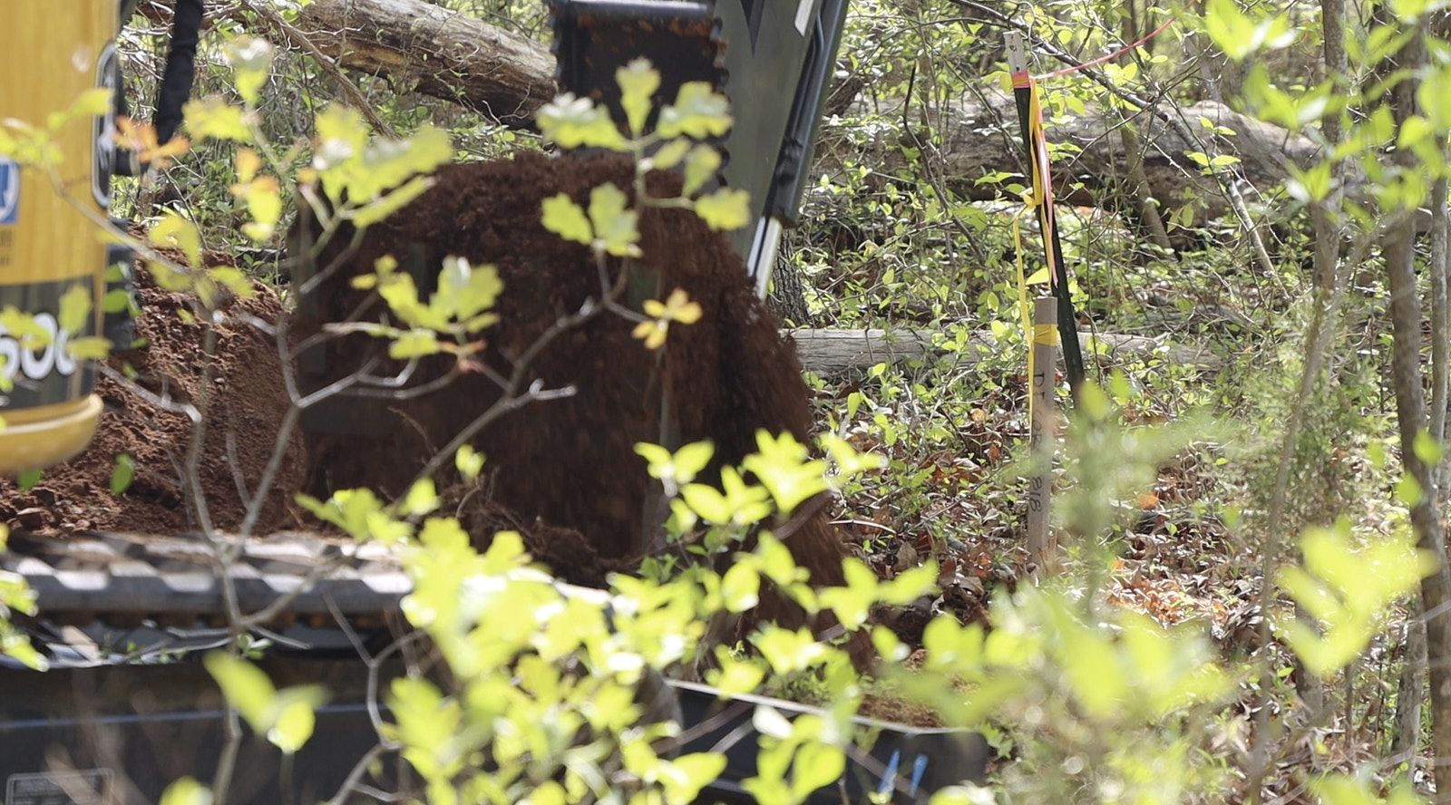 A Closeup Shot Of A Mound Of Soil Taken Out After Digging With Foreground Framing Of A Branch Of Leaves