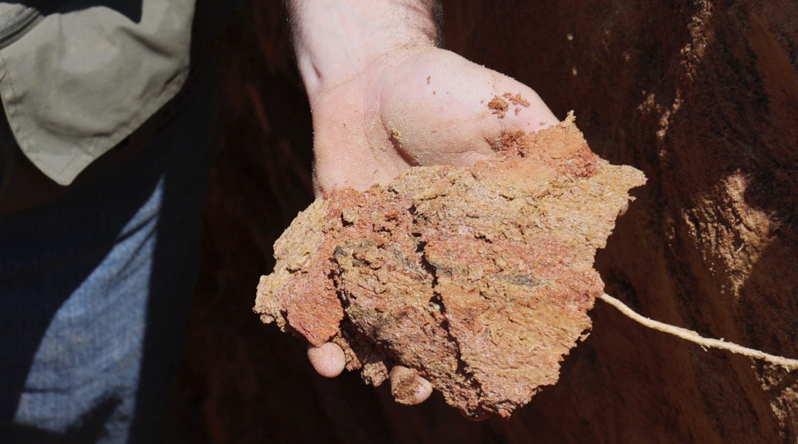 Closeup Shot Of A Human Hand From Soils Inc Holding A Collection Of Solid Soil Minerals For Soil Samples