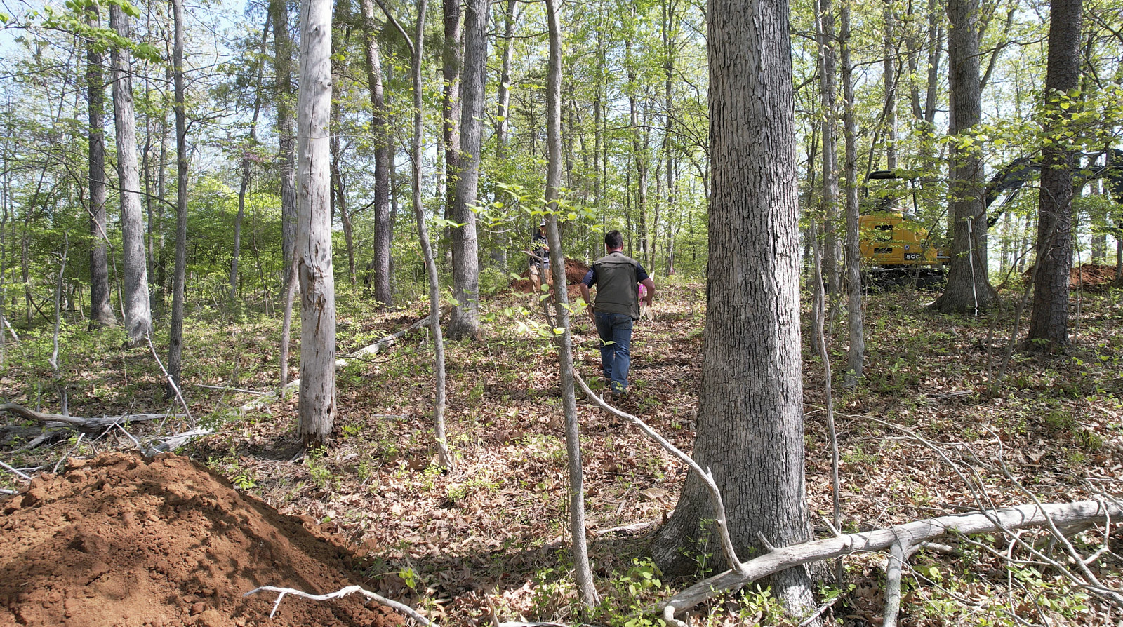 Wide Angle Shot Of A Forest Like Area With Many Trees A Man From Soils Inc Walking By And A Mound Of Soil On The Left Side