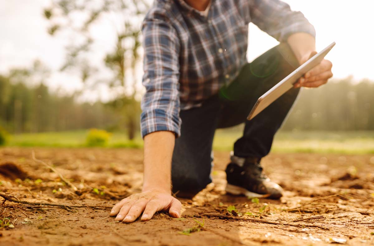 The Farm Owner's Hand Touches Soil, Checks Quality Of The Soil Before Sowing. Ecology, Technology.