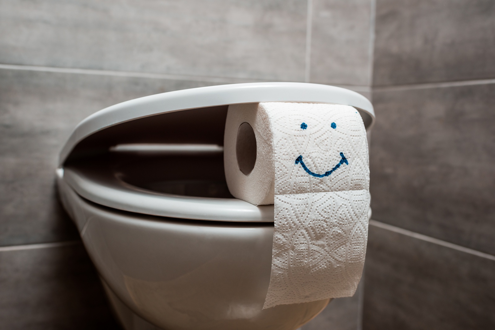 Septic safe toilet paper on modern bathroom toilet